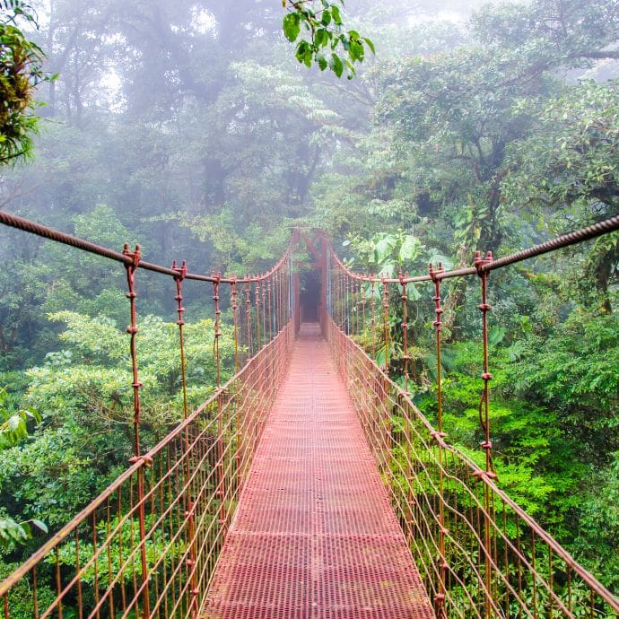 1740476790_Borucas_Costa_Rica_Dr_Hobert